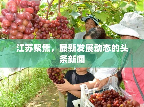 江苏聚焦，最新发展动态的头条新闻