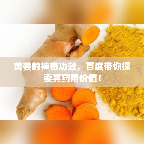 黄姜的神奇功效，百度带你探索其药用价值！