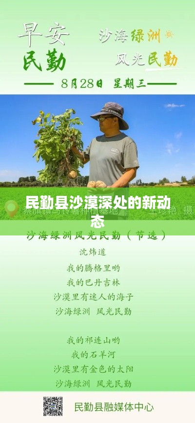 民勤县沙漠深处的新动态