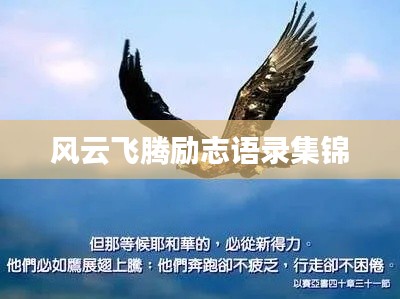 风云飞腾励志语录集锦