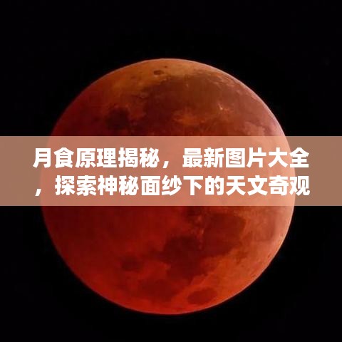 巧舌如簧 第2页
