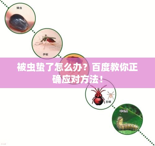被虫蛰了怎么办？百度教你正确应对方法！