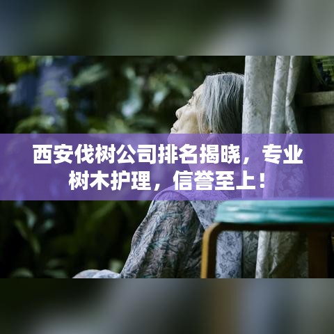 西安伐树公司排名揭晓，专业树木护理，信誉至上！