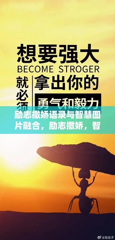 励志撒娇语录与智慧图片融合，励志撒娇，智慧相伴