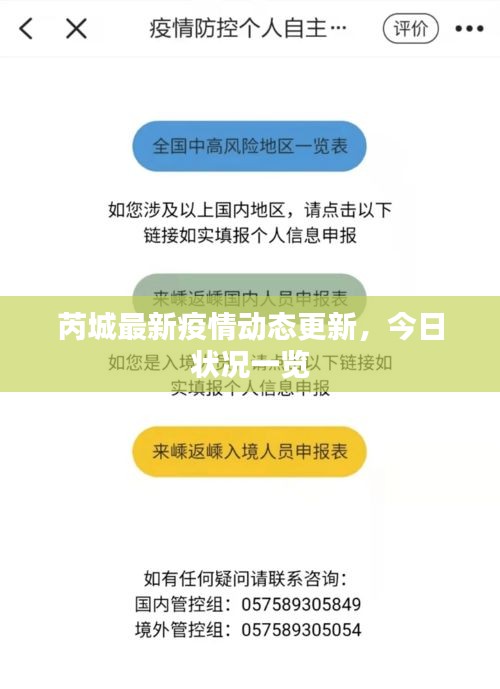 芮城最新疫情动态更新，今日状况一览