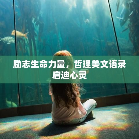 励志生命力量，哲理美文语录启迪心灵