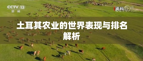 土耳其农业的世界表现与排名解析