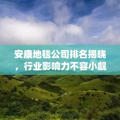 安康地毯公司排名揭晓，行业影响力不容小觑