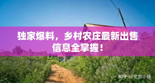 独家爆料，乡村农庄最新出售信息全掌握！