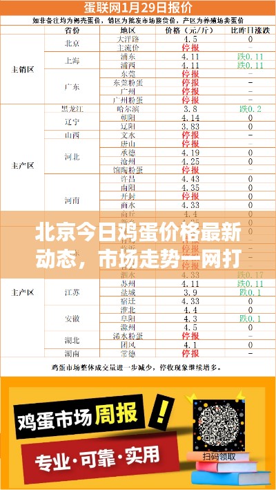 北京今日鸡蛋价格最新动态，市场走势一网打尽！