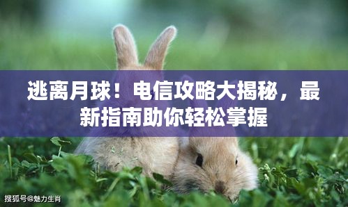 逃离月球！电信攻略大揭秘，最新指南助你轻松掌握