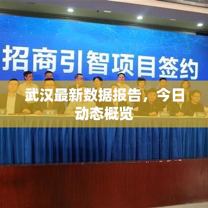 武汉最新数据报告，今日动态概览