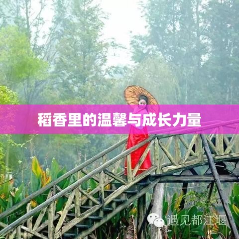 稻香里的温馨与成长力量