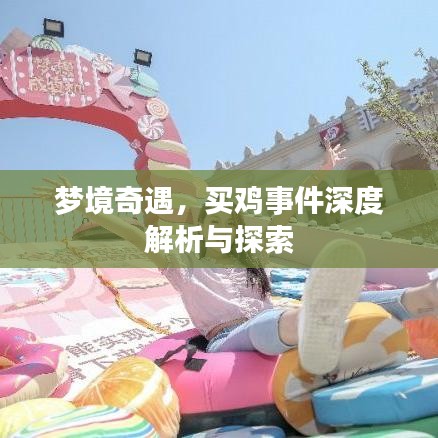 梦境奇遇，买鸡事件深度解析与探索