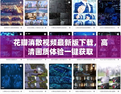 花瓣消散视频最新版下载，高清画质体验一键获取