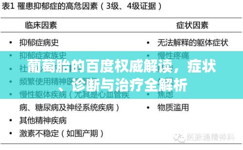 葡萄胎的百度权威解读，症状、诊断与治疗全解析