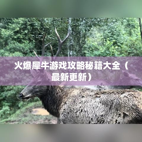 火爆犀牛游戏攻略秘籍大全（最新更新）