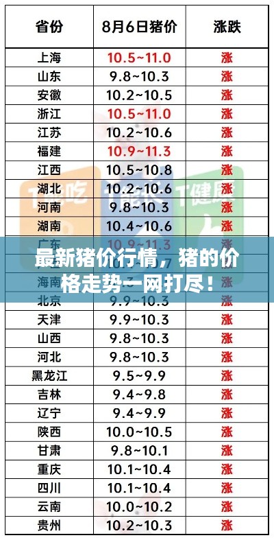 最新猪价行情，猪的价格走势一网打尽！