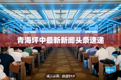 青海坪中最新新闻头条速递
