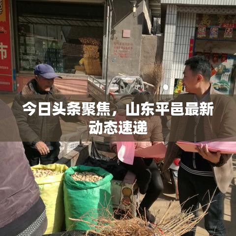 今日头条聚焦，山东平邑最新动态速递