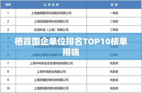 栖霞国企单位排名TOP10榜单揭晓