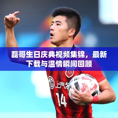磊哥生日庆典视频集锦，最新下载与温情瞬间回顾