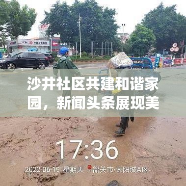沙井社区共建和谐家园，新闻头条展现美好家园生活