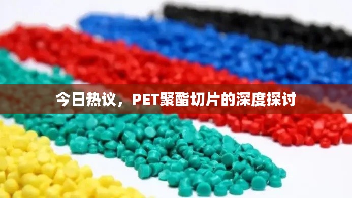 澹泊明志 第3页