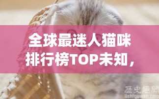 天生丽质 第2页