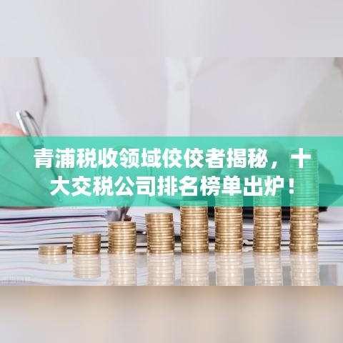 青浦税收领域佼佼者揭秘，十大交税公司排名榜单出炉！