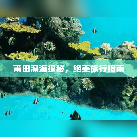 莆田深海探秘，绝美旅行指南