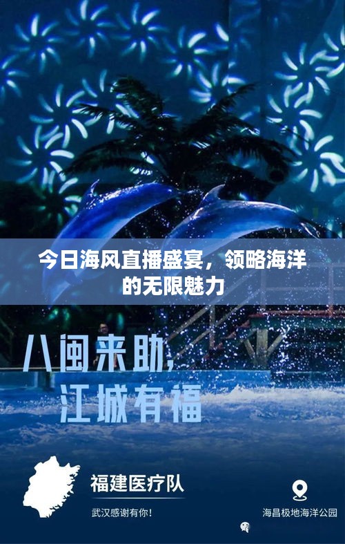 今日海风直播盛宴，领略海洋的无限魅力
