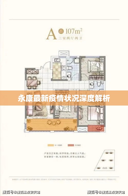 永康最新疫情状况深度解析