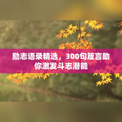 励志语录精选，300句箴言助你激发斗志潜能