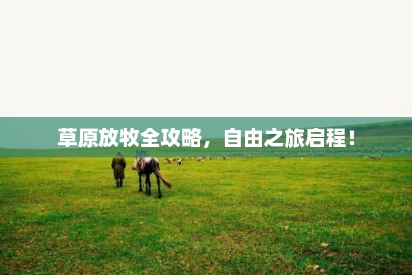 草原放牧全攻略，自由之旅启程！