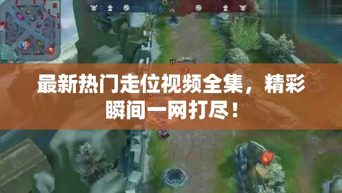 最新热门走位视频全集，精彩瞬间一网打尽！