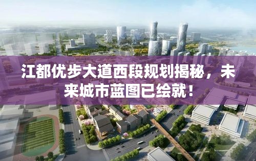 江都优步大道西段规划揭秘，未来城市蓝图已绘就！