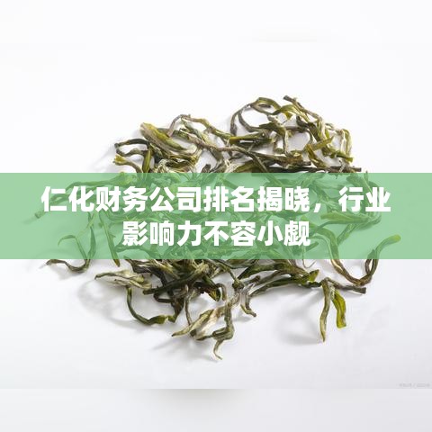 仁化财务公司排名揭晓，行业影响力不容小觑