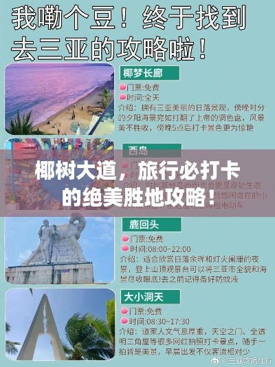 椰树大道，旅行必打卡的绝美胜地攻略！