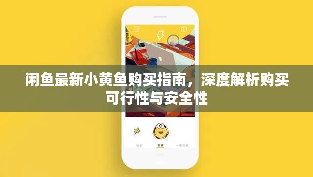 闲鱼最新小黄鱼购买指南，深度解析购买可行性与安全性
