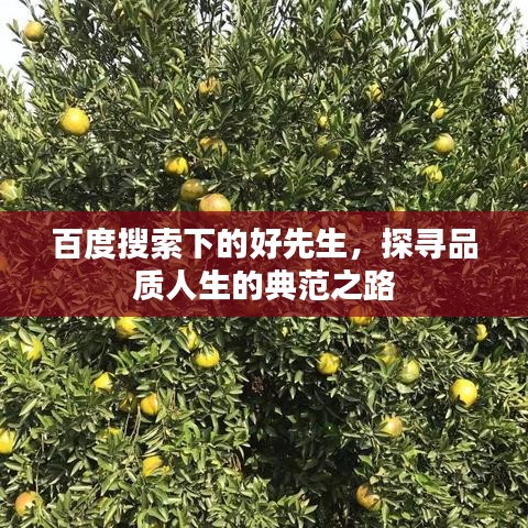 百度搜索下的好先生，探寻品质人生的典范之路