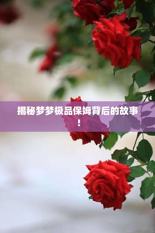 揭秘梦梦极品保姆背后的故事！