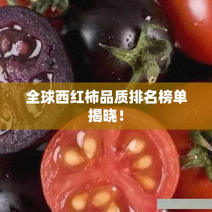 全球西红柿品质排名榜单揭晓！