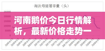 河南鹅价今日行情解析，最新价格走势一网打尽！