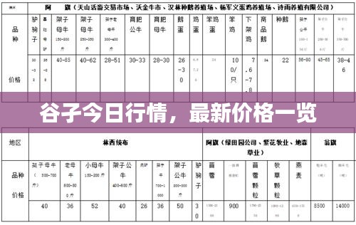 谷孑今日行情，最新价格一览