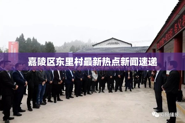 嘉陵区东里村最新热点新闻速递