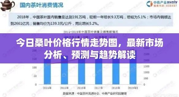 今日桑叶价格行情走势图，最新市场分析、预测与趋势解读