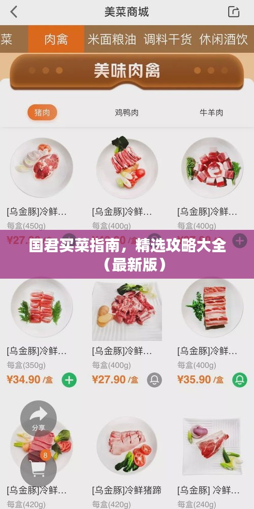 国君买菜指南，精选攻略大全（最新版）