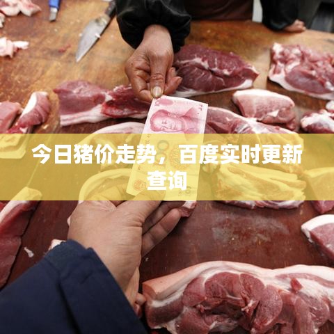 今日猪价走势，百度实时更新查询