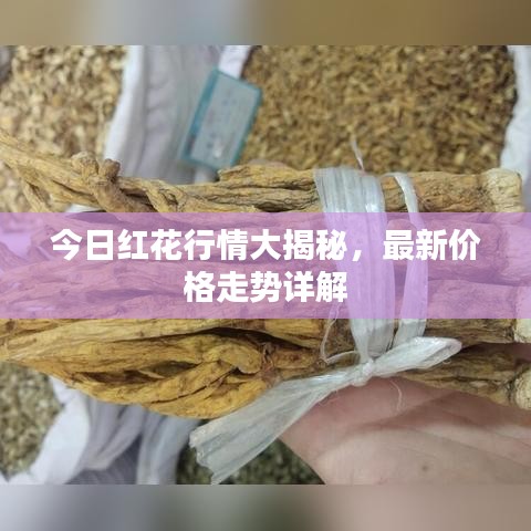 今日红花行情大揭秘，最新价格走势详解